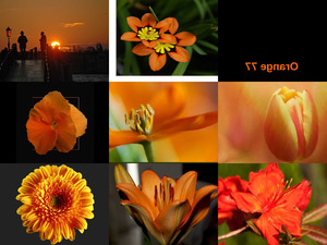 klicke hier, um die Datei herunterzuladen Orange 77