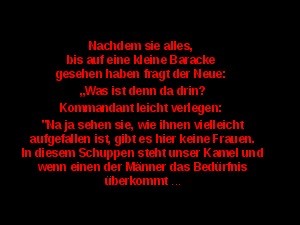 klicke hier, um die Datei herunterzuladen Antiquus 188 - Das Kamel in der Fremdenlegion
