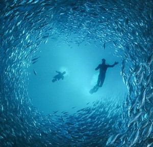 Underwater Art