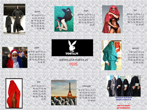 klicke hier, um die Datei herunterzuladen der Playboykalender im Jahr 2020