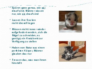 tausche Mann gegen Katze