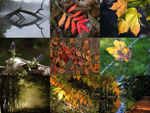 klicke hier, um die Datei herunterzuladen Herfst 14