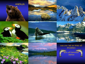 klicke hier, um die Datei herunterzuladen Alaska