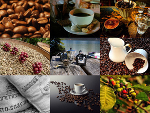 klicke hier, um die Datei herunterzuladen Kaffee