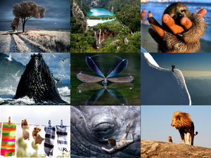 klicke hier, um die Datei herunterzuladen blue photos