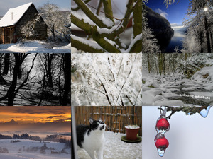klicke hier, um die Datei herunterzuladen Winter 16