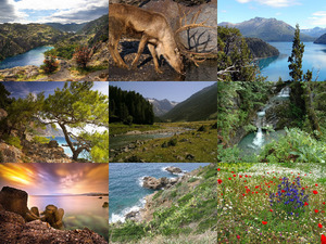 klicke hier, um die Datei herunterzuladen Beautiful Nature 95