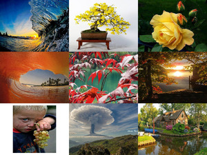 klicke hier, um die Datei herunterzuladen Schoene Bilder 48