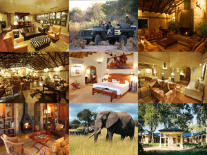 klicke hier, um die Datei herunterzuladen Safari-Afrika