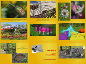 klicke hier, um die Datei herunterzuladen Super Bilder von der Gartenschau in Hamburg...