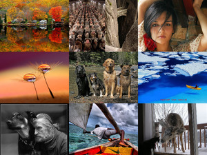 klicke hier, um die Datei herunterzuladen beautiful pictures with music