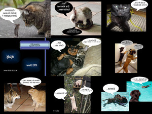 Antiquus 935 - Tierisch Witzig 1