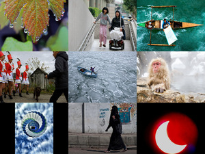 klicke hier, um die Datei herunterzuladen photocontest 2012 - nationalgeographic