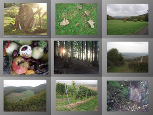 klicke hier, um die Datei herunterzuladen Abschied Herbstspaziergang