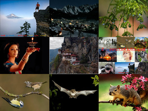 klicke hier, um die Datei herunterzuladen Beautiful Pictures