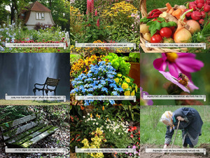 klicke hier, um die Datei herunterzuladen Muter s Garten
