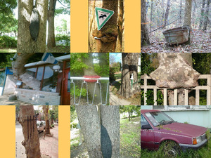 klicke hier, um die Datei herunterzuladen Naturgewalten