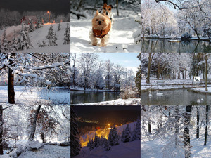 klicke hier, um die Datei herunterzuladen Winter 77