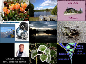 klicke hier, um die Datei herunterzuladen Schöne Bilder von Blüten, Früchten...