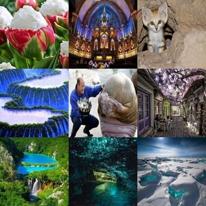 Die Schöne Natur 7 Die Schöne Natur 7