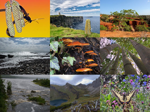 Beautiful-Nature-103.ppsx auf www.funpot.net