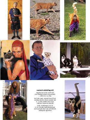 klicke hier, um die Datei herunterzuladen angemalte katzen