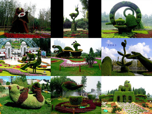 Chinesische Pflanzen-Skulpturen