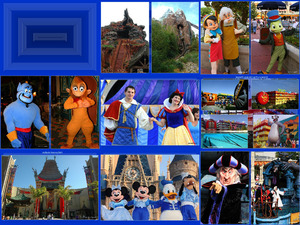klicke hier, um die Datei herunterzuladen Disney-Orlando
