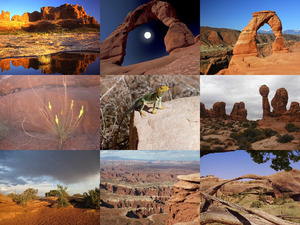 Arches National Park