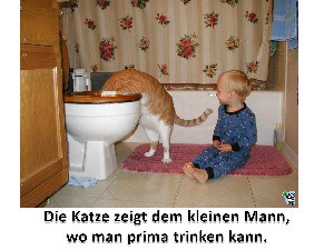 klicke hier, um die Datei herunterzuladen Knittelverse Nr. 4