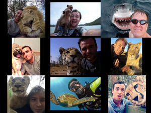 Selfies Human Animals