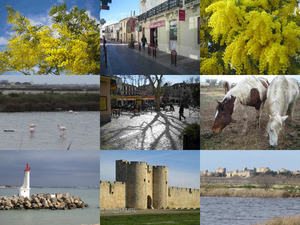 Camargue in Frankreich