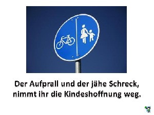 klicke hier, um die Datei herunterzuladen Schadensfall