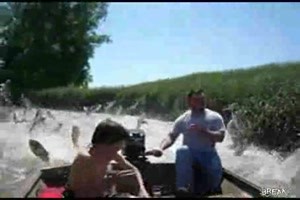 fishing