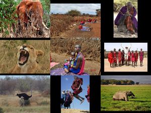 Masai Mara Kenia