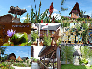 klicke hier, um die Datei herunterzuladen Indonesien-Floriade gele