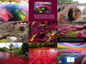 Cano Cristales