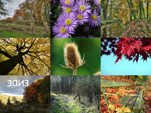 klicke hier, um die Datei herunterzuladen HERBST 10