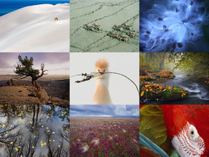 klicke hier, um die Datei herunterzuladen NationalGeographicPhotos