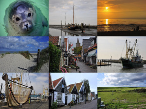 klicke hier, um die Datei herunterzuladen TEXEL