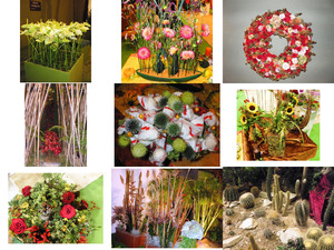 klicke hier, um die Datei herunterzuladen Blumenmesse Tulln3