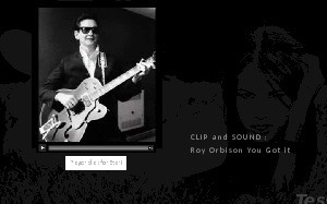 Roy Orbison - You got it