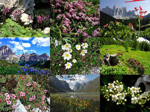 Dolomitas - Italia