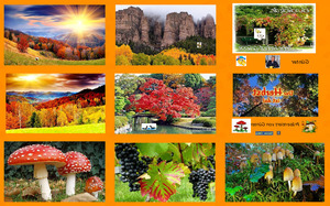 klicke hier, um die Datei herunterzuladen Herbst