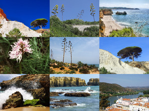 klicke hier, um die Datei herunterzuladen Algarve 1