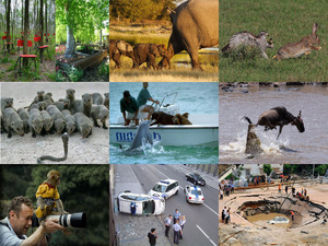 klicke hier, um die Datei herunterzuladen Cool pictures