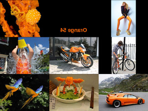klicke hier, um die Datei herunterzuladen Orange 54