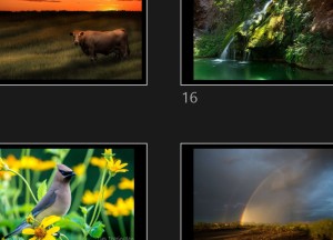 klicke hier, um die Datei herunterzuladen Zauber der Natur 33