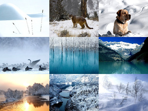 klicke hier, um die Datei herunterzuladen WINTER 2