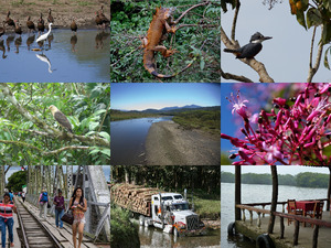 klicke hier, um die Datei herunterzuladen Costa Rica 2